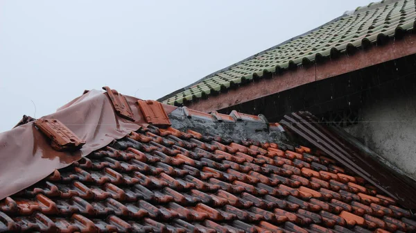 typhoon-damaged roofs